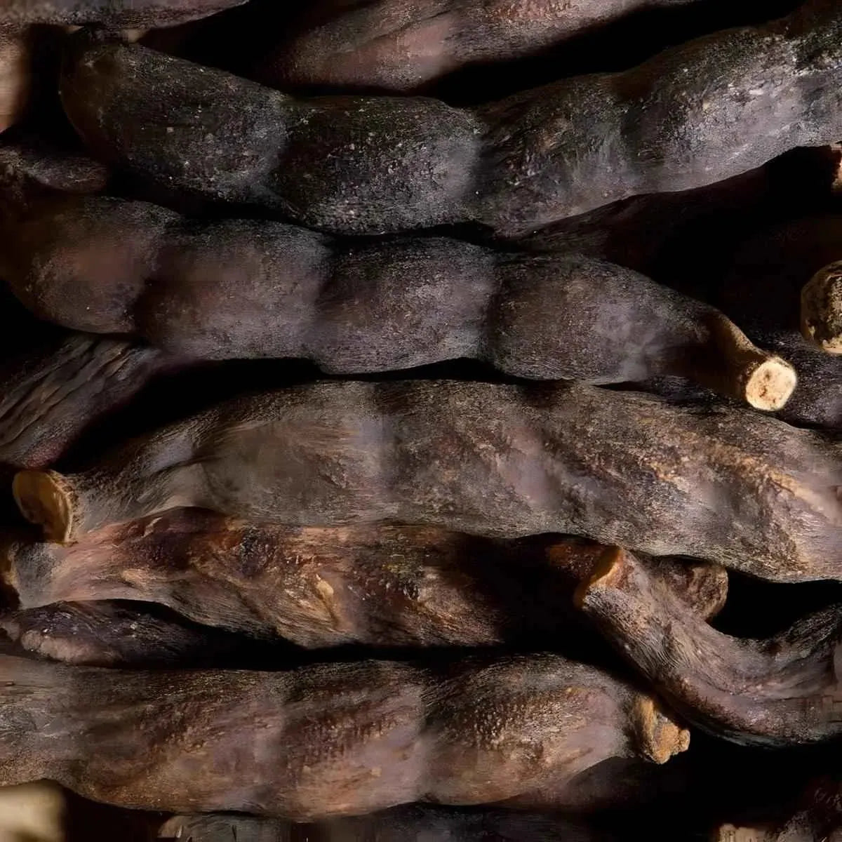 Gros plan sur les gousses de Poivre Selim Africain séchées, révélant leur texture rustique et leur arôme puissant typique des épices africaines.